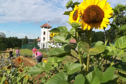 15 Kocljevina Prosenjakovci