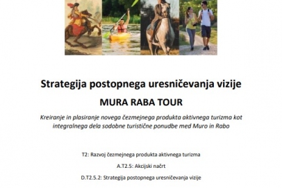 Strategija postopnega uresničevanja vizije